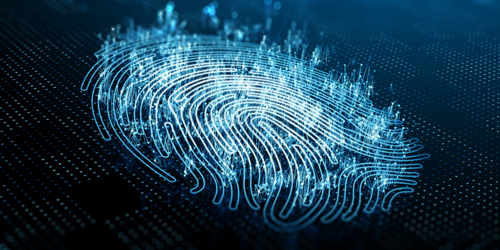 fingerprint