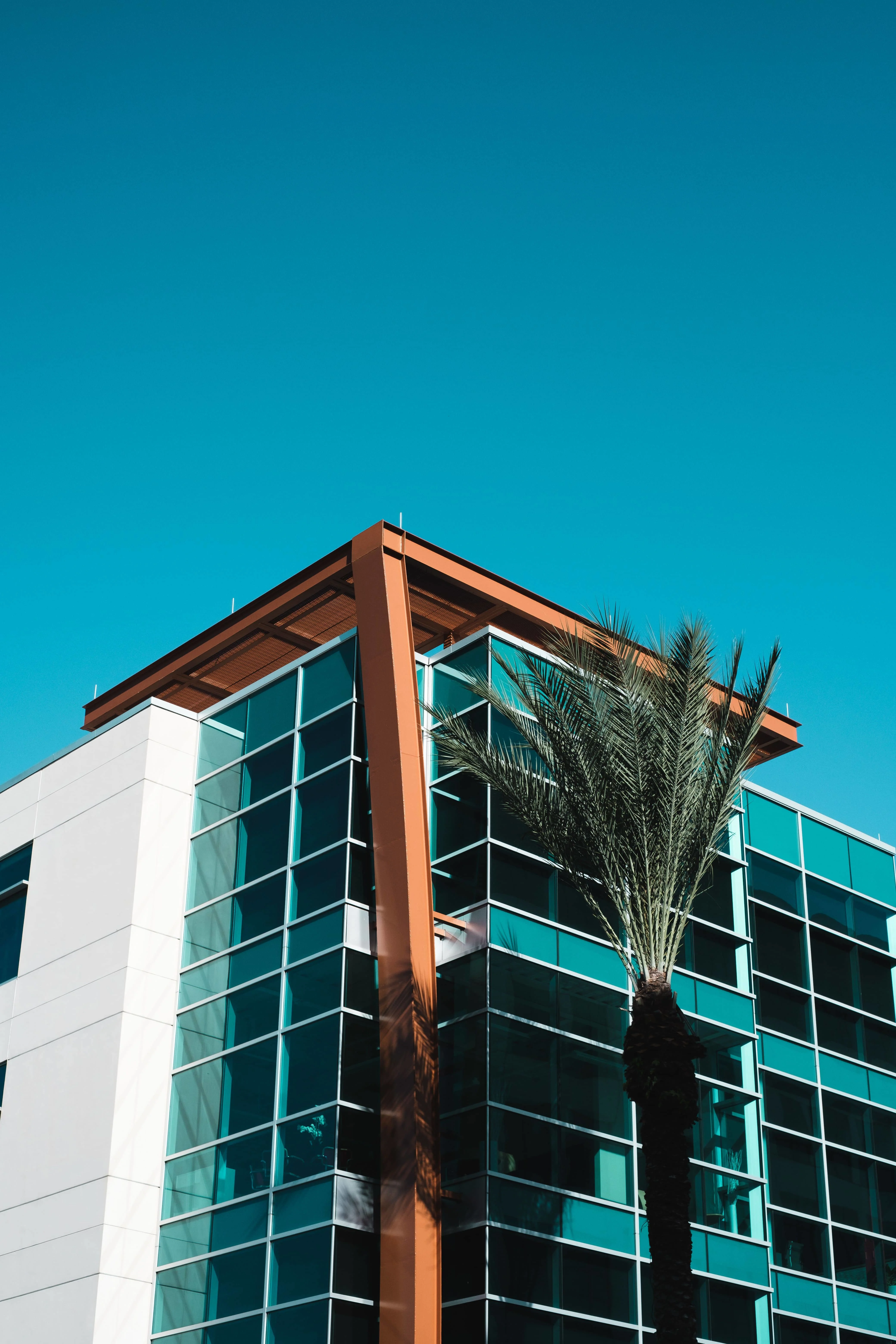 Premier Notary and Fingerprinting office at 20 N Orange Ave, Downtown Orlando